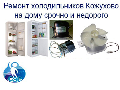 Срочный и недорогой ремонт холодильников в Кожухово на дому